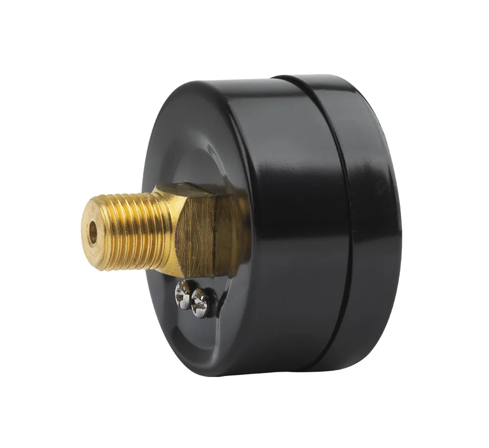 Manomètre 0-16 bar RQS — raccord 1/4" — vue 4